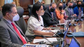 La ministra de Desarrollo Social de Panamá, María Inés Castillo, participó del Consejo de Gabinete.