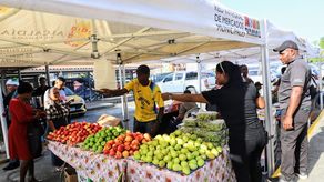El Municipio realiza una feria RIMMU en la inauguración del nuevo mercado de Alcalde Díaz.&nbsp;