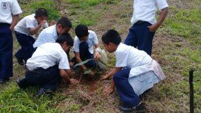 Cuarto Gran Día Nacional de Reforestación se realizará el próximo 2 de junio Cuarto Gran Día Nacional de Reforestación se realizará el próximo 2 de junio