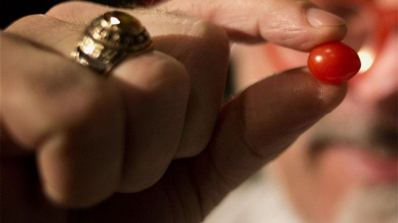 Empresa israelí crea el tomate gota, el más pequeño de todos